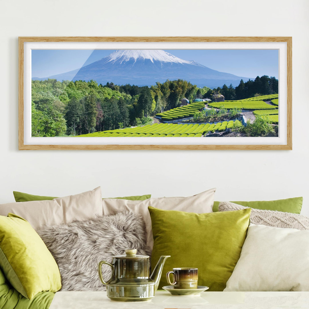 Gerahmtes Poster Tea Fields Before Fuji