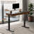 55'' Adjustable Standing Desk With Drawers, Pu Leather Finish