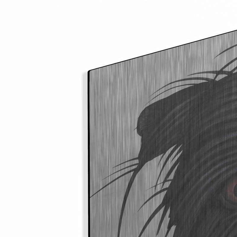 «Affenpinscher Bust» par Danny Gordon, H 36 po x l 36 po