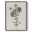 Impression florale vintage encadrée CECXVII - bois massif-984505762