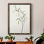 Spindle Sprig III - peinture sur toile encadrée-763254577-763254578