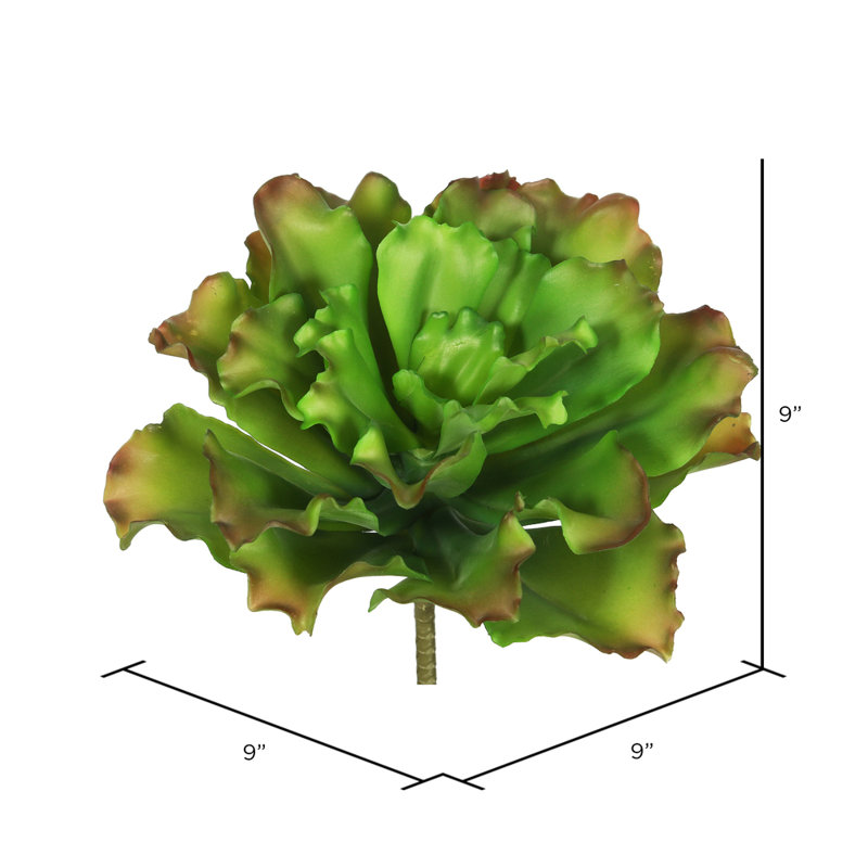 Plante grasse artificielle 9 po