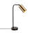 Metal Desk Lamp