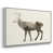 White Framed Canvas is out of stock