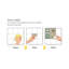 5.91'' W x 5.91'' L PVC Peel and Stick Field Tile