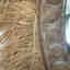 Customer photo 1 of 3