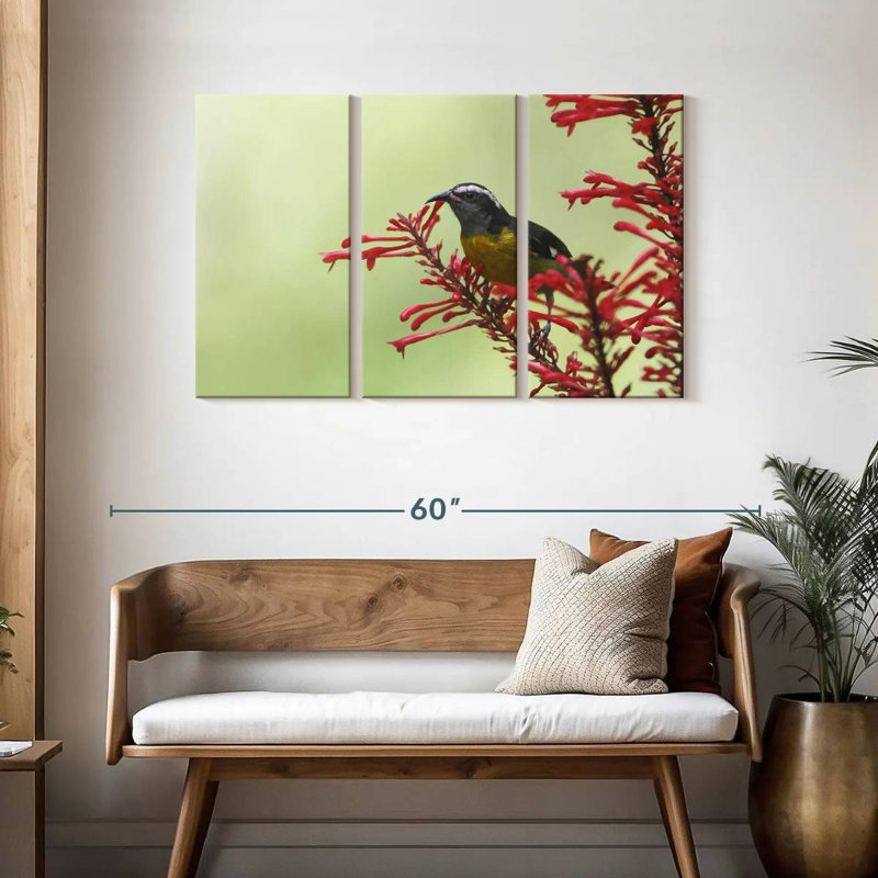 Ronce nourrissant un oiseau bananier, H 28 po x l 45 po