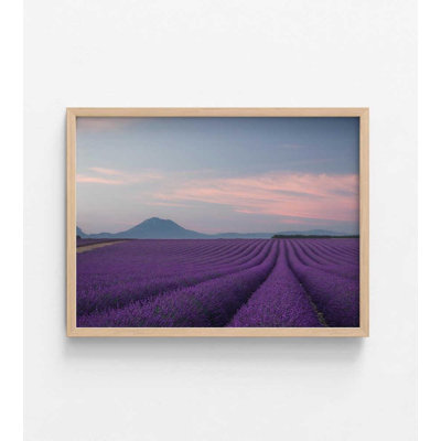 «Lavender Field Print»: aquarelle éclatante sur papier