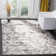 Skyler Performance Abstract Rug