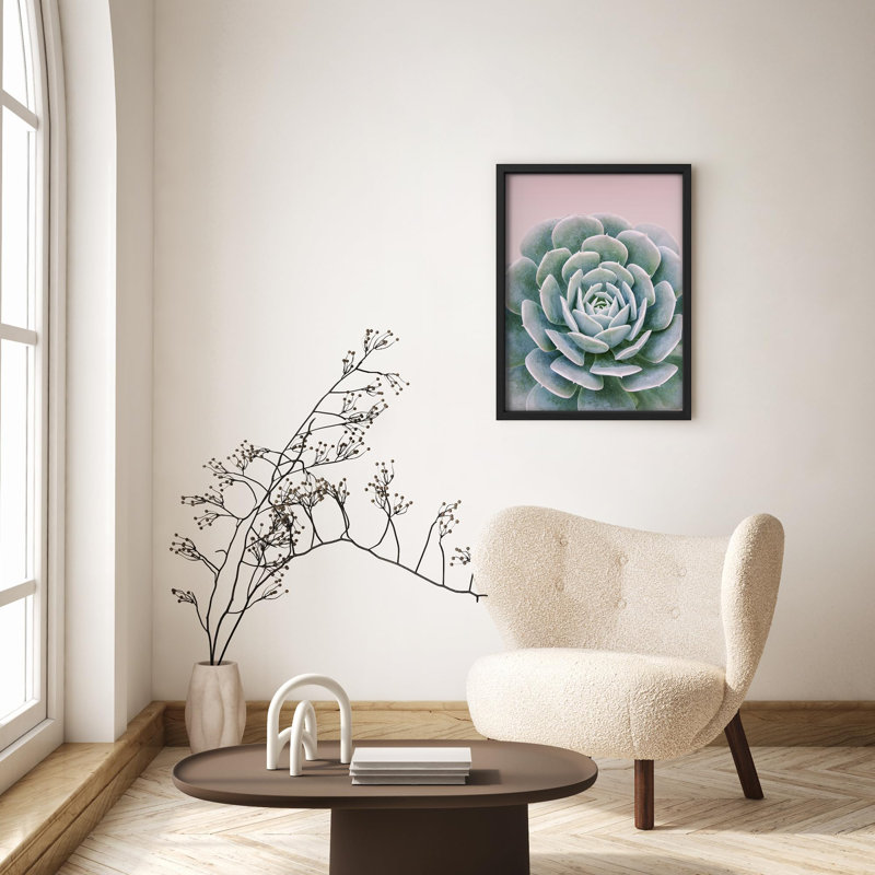 Illustration détaillée de plantes succulentes, texture botanique, petit décor, Noir, H 14 po x l 11 po