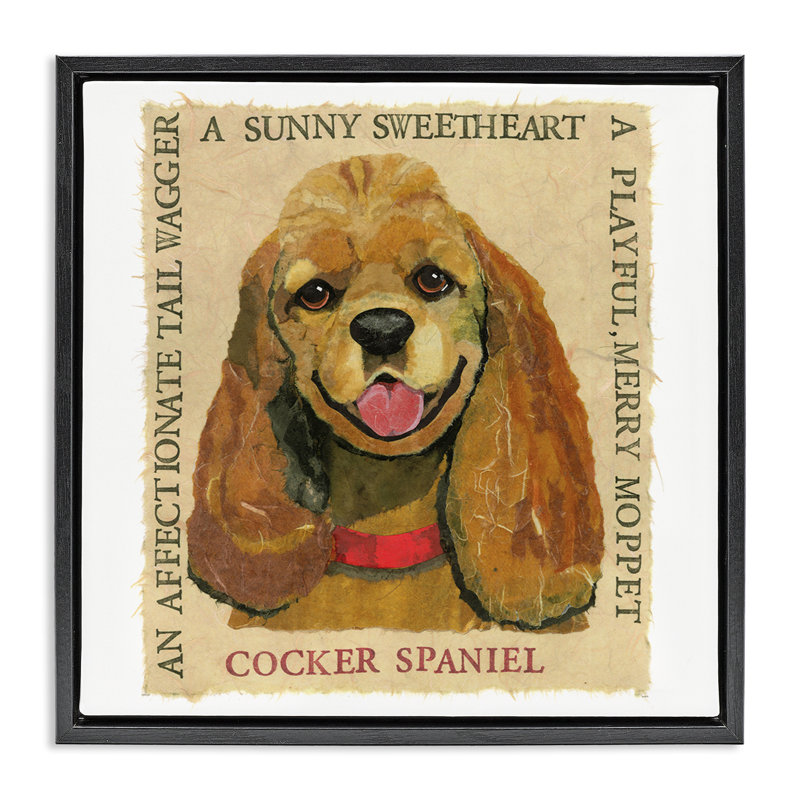 "Fun Cocker Spaniel", art mural encadré flottant par Sangita Bachelet, Cadre flottant noir de jais, H 25 po x l 25 po