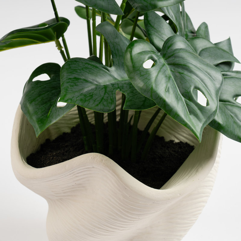 45cm Faux Variegated Monstera in Cement Shell Pot