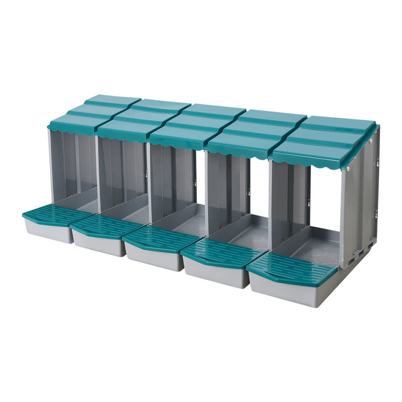 5-Compartment Chicken Nesting Box, Teal