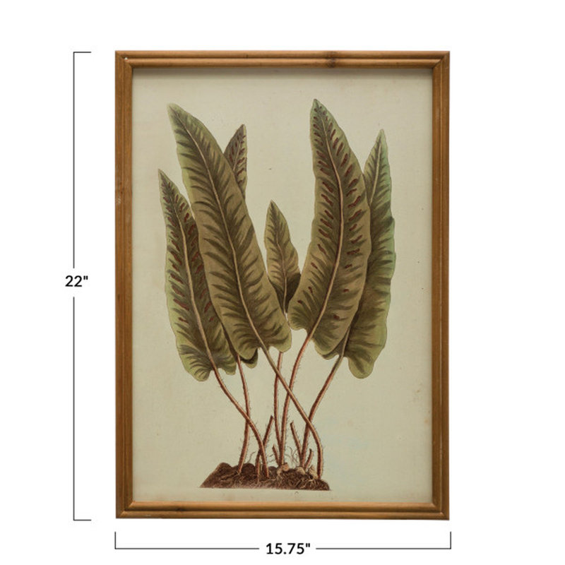 Wood Framed Botanical Print with Glass Cover