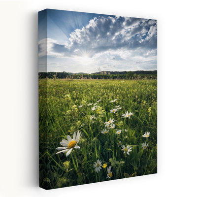 «Flowering Meadow Abstract Contemporary Flower Landscape», reproduction d'art mural