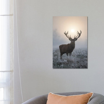 Frosty Glow by Max Ellis - Wrapped Canvas Print