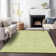 Premium Machine Washable Prisco Aloe Rug