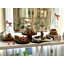 Glass Cloche Food Cover, Ring Handle, Small-1242998154