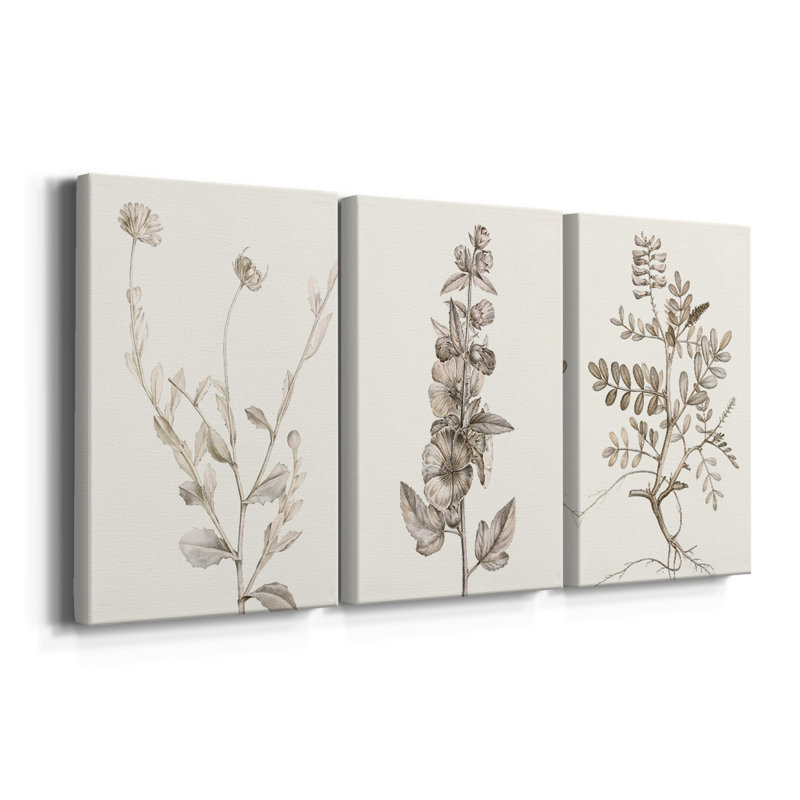 Neutral Botanical Study IV  -Custom Wrapped Gallery Canvas - 3 Pieces, 12" H x 24" W