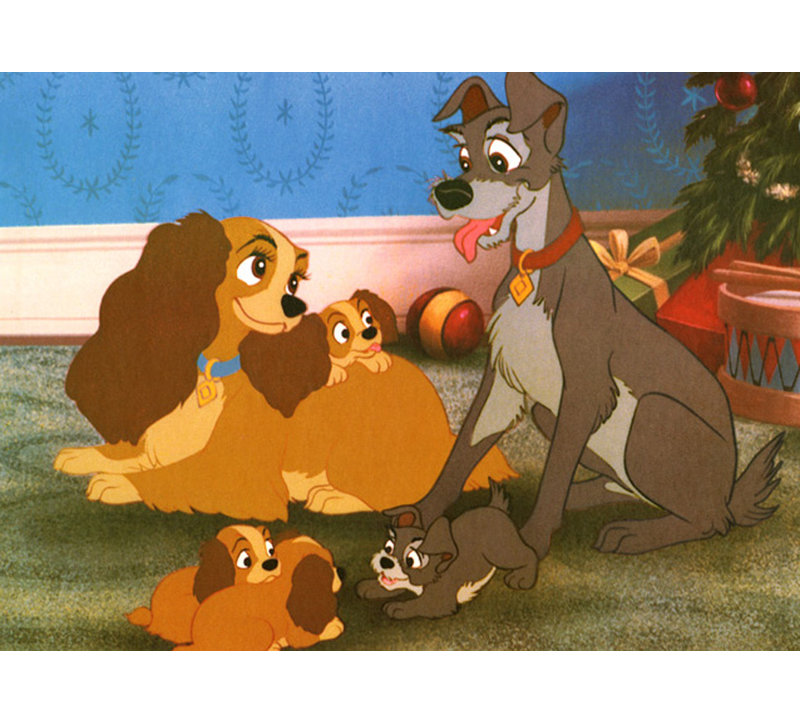 A Happy Family, a Happy Ending