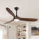 Netrapal 3-Blade Indoor Ceiling Fan with Remote and Light,3 LED Colors,6 Speed DC Motor,Timer