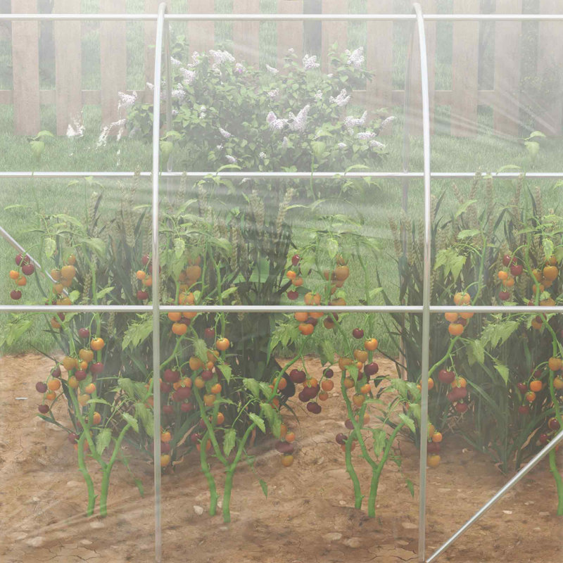 Brekkyn 9.5 Ft W 6.5 x Ft D Greenhouse