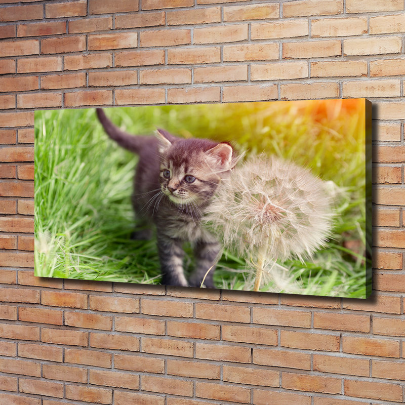 Kitten With A Blowpipe - Wrapped Canvas Print