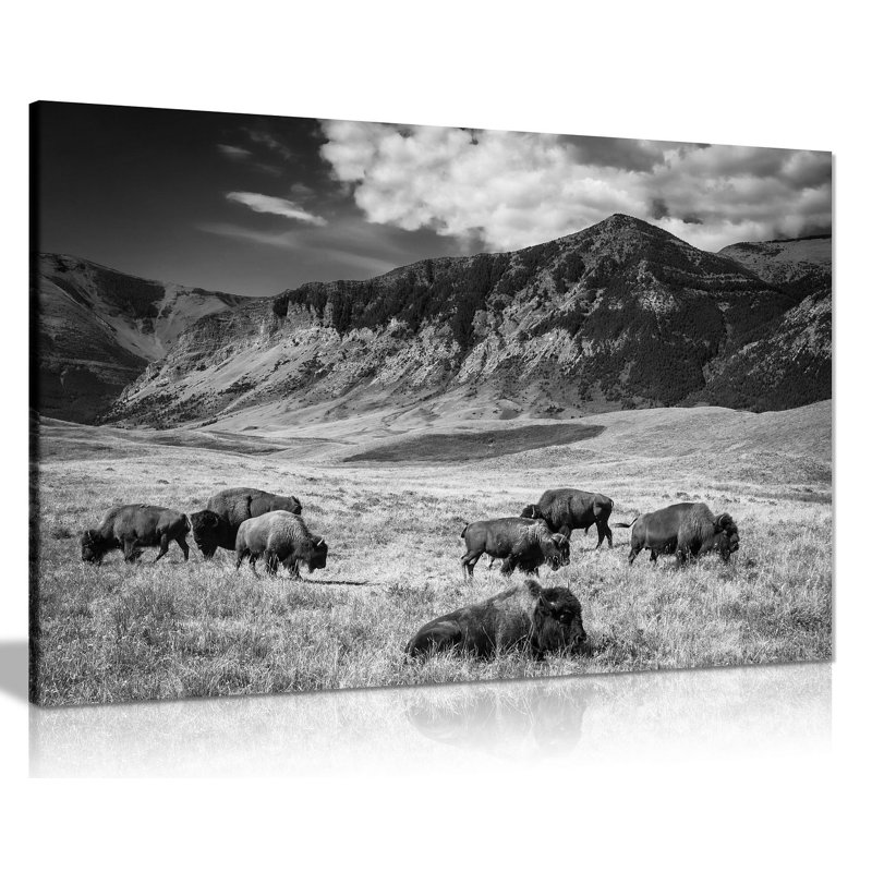 Black & White Buffalo Grazing Mountain Landscape - Wrapped Canvas Print, 31cm H x 20cm W