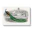 Admiring a Peacock - Wrapped Canvas-55306827