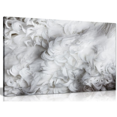 Feathers 1 Piece Wrapped Canvas Wall Art