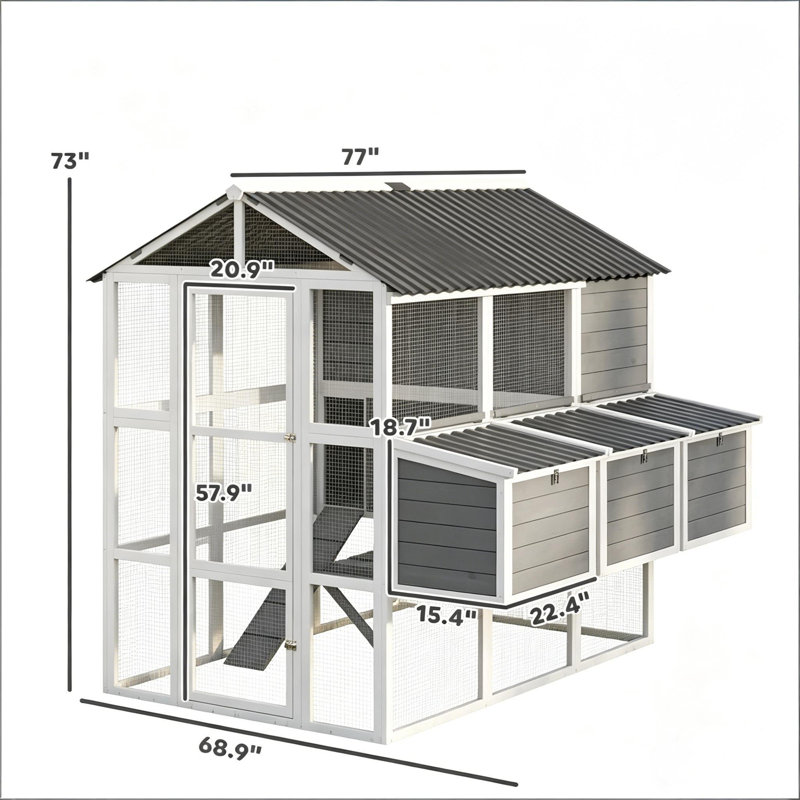 Hen Cage