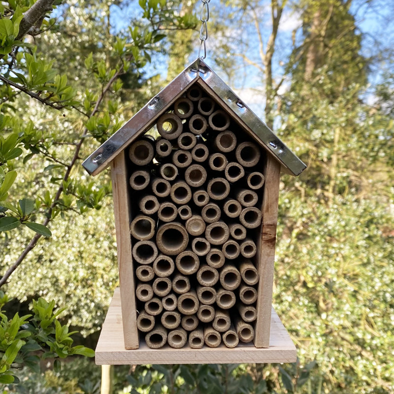 Izaguirre Hanging Bumblebee House
