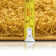 Adavia Shaggy Gold  Rug