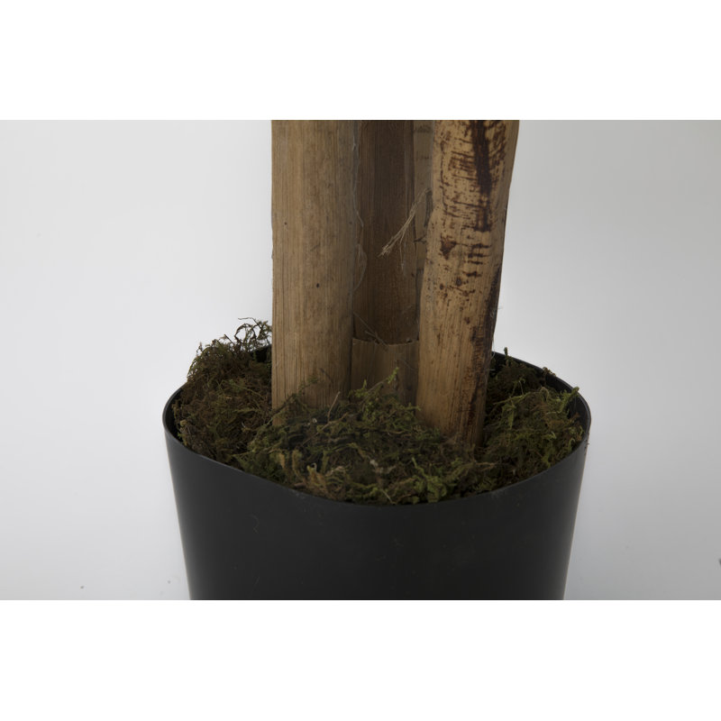 Panama Real Touch Palmier en pot