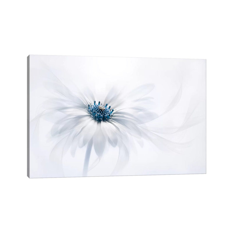 « Serenity » par Jacky Parker-reproduction de photo, Toile tendue, Pas de tapis, H 18 po x l 26 po x P 1,5 po