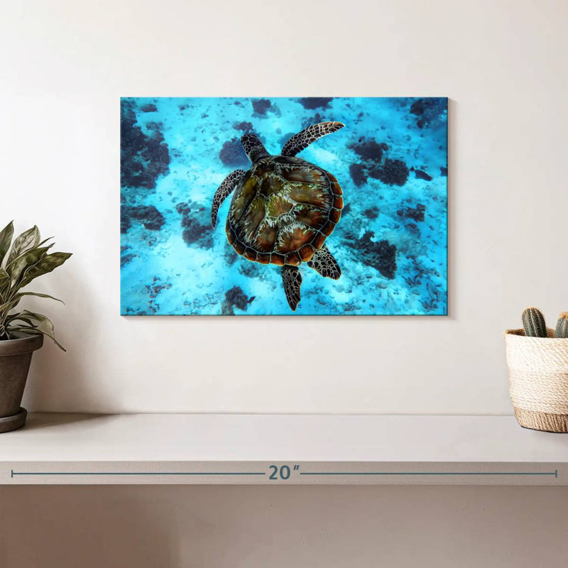 Brampt Turtle Habitat, 8" H x 12" W