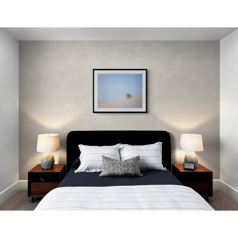 Seashell By The Seashore Print by Scott Norris, Black Framed Paper, 25.25" H x 31.25" W