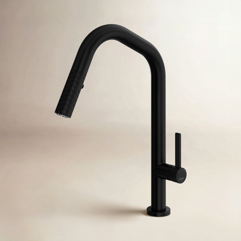 AllModern Ignacio Pull Out Kitchen Faucet Side Spray, Matte Black