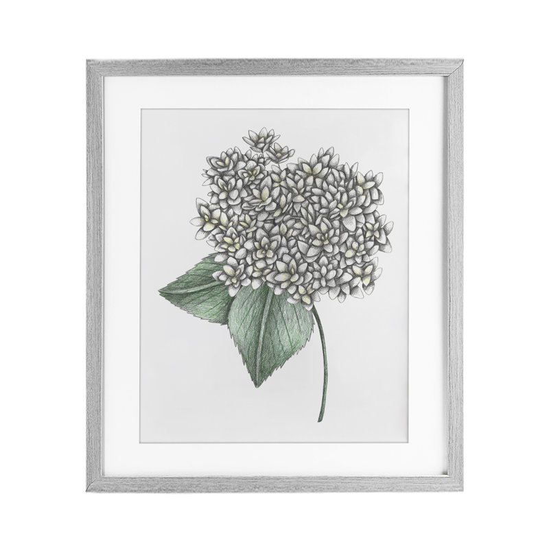  Hortensia croquis, impression encadrée sous verre, design par Cecilia Battaini, Cadre de ferme gris, H 21 po x l 17 po
