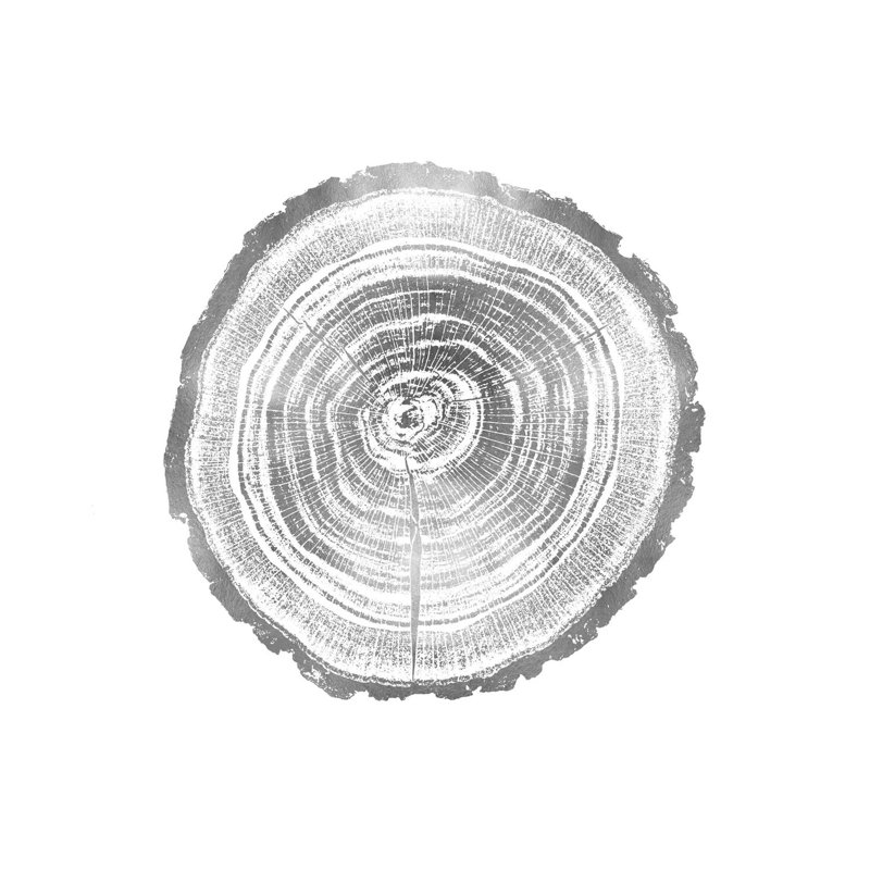 Timber Silver II by Danielle Carson - Wrapped Canvas Painting, 93.98 cm H x 93.98 cm W x 1.91 cm D