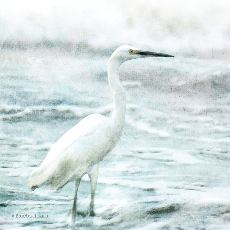 Héron côtier - peinture, Toile encadrée flottée blanche, Non, H 30 po x l 30 po