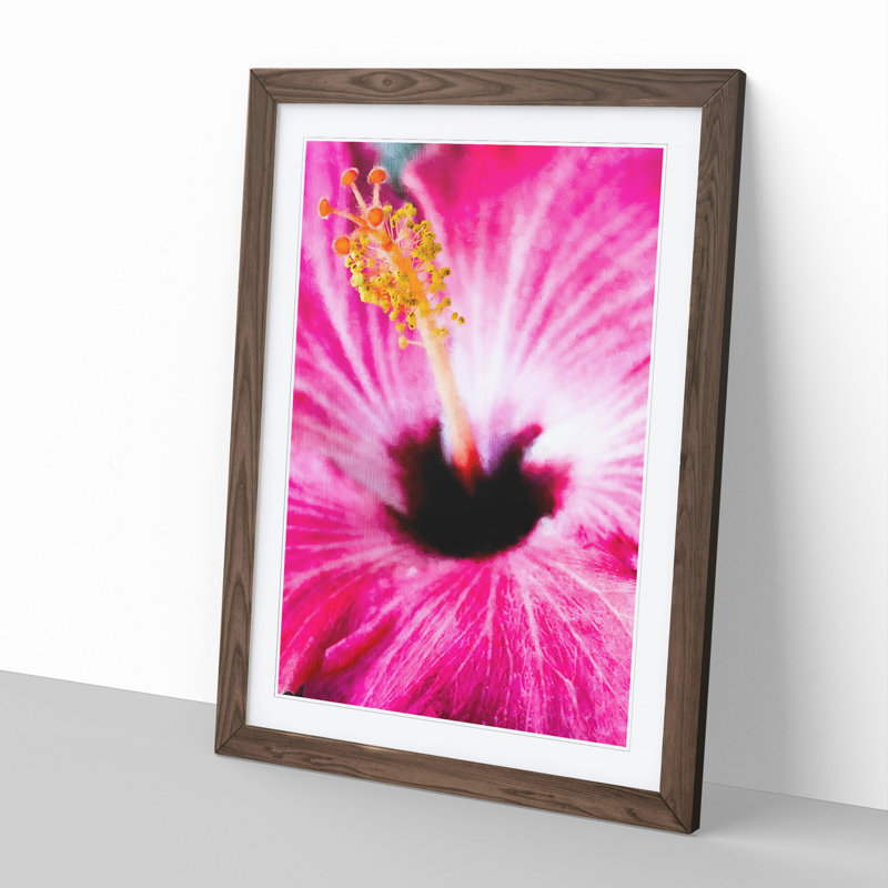 A Pink Flower - Picture Frame Graphic Art, Walnut Framed, 65cm H x 48cm W x 2cm D