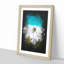'Palm Tree Beach in the Maldives' - Picture Frame Graphic Art Print-56856895-56856894
