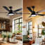 Ceiling Fan with LED Lights-350266710