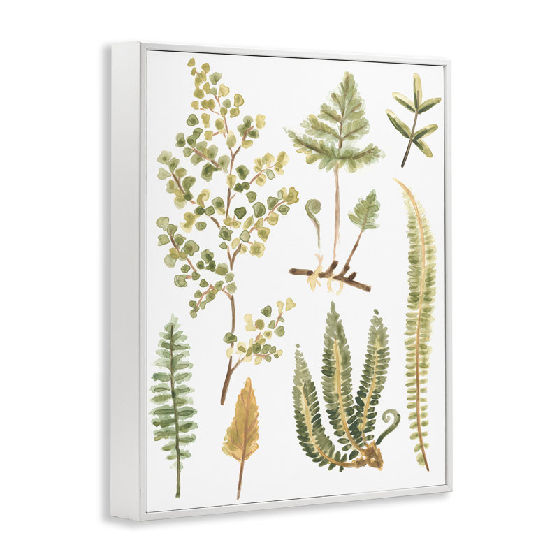 Fougères de forêt sauvage - June Erica Vess bg-052, Estampe numérique encadrée blanc bord de mer, H 14 po x l 11 po