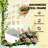 Stylish Planter Box,Raised Garden Bed,Vegetable Box