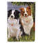Drapeau de maison Hvidovre Sheltie Halloween en polyester à 2 faces 3 x 2 pi-81032139