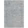 Machine Washable Indoor/Outdoor Claudian ACN1645 Silver Rug