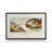 The Creation of Adam by Michelangelo Canvas Print in a Frame-533216709-533216704