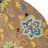 Nonia Hand Tufted Wool Floral Rug-1758398734